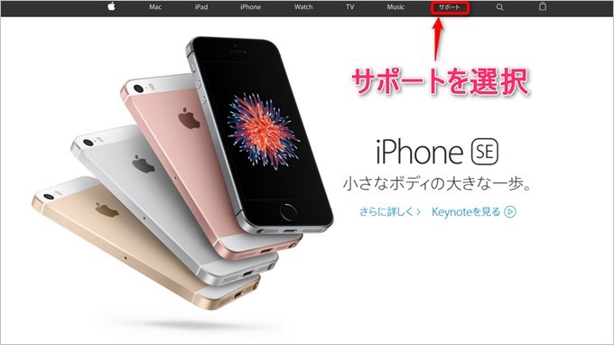 garumax-Apple-Store-CALL (1)