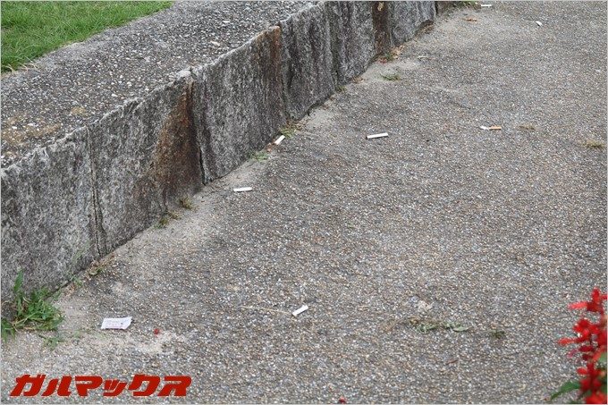 鶴舞公園で散見されたタバコの吸殻
