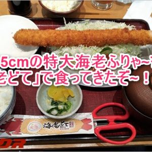 名古屋駅から徒歩5分！35cmエビフライが食べれる「海老どて」の行き方！