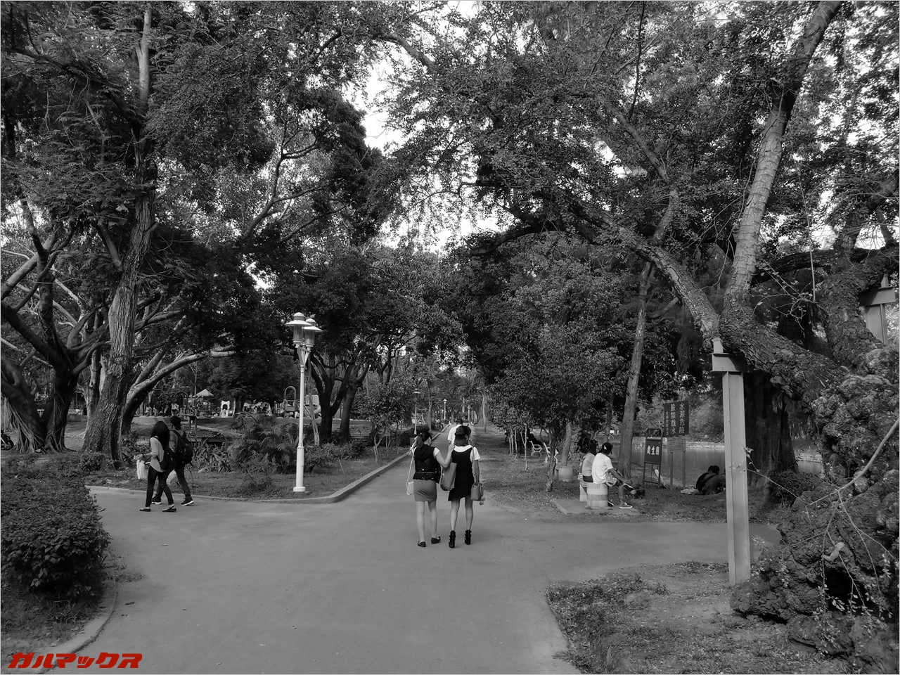 台南公園でモノクロ撮影