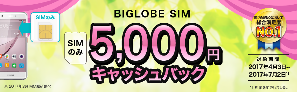 BIGLOBE SIMのcampaign