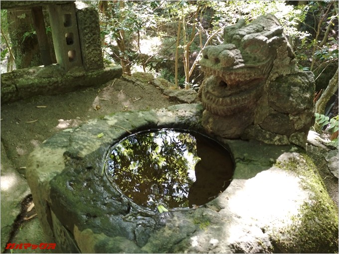 手洗い用の水