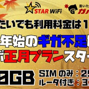 【100GB】STAR WiFiさんに正月プラン作ってもらった！12月利用開始でも請求1ヶ月分のみ！【2,990円〜】
