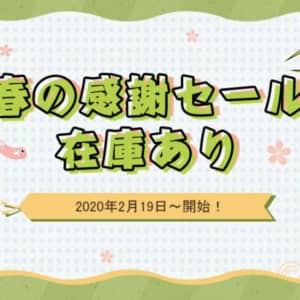【ガジェット割引】Banggoodが日本向けの「春の感謝セール 在庫あり」を開始したぞ！