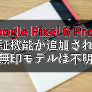 Google Pixel 6はProモデルのみ顔認証に対応するかも？