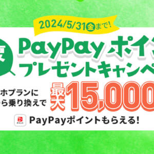 5月31日まで！LINEMOへMNPでPayPayポイント15,000円相当を貰おう！
