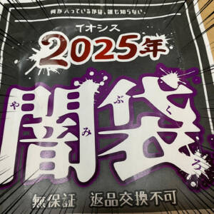 2025年ガジェット系福袋を開封してみた結果！