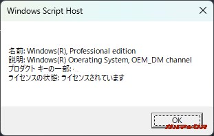 NiPoGi P1 3300Uモデル