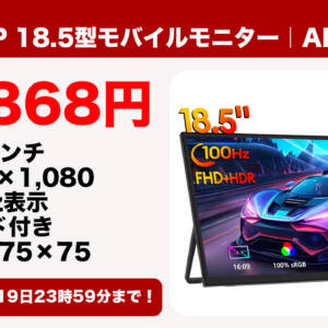 1.1万円切り！ZEUSLAPの18.5型のモバイルモニターがAliExpressの1111セールで激安販売中！