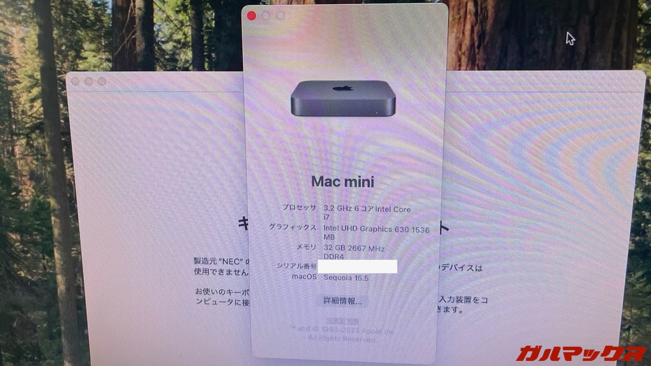 2026年 福袋 PCコンフル