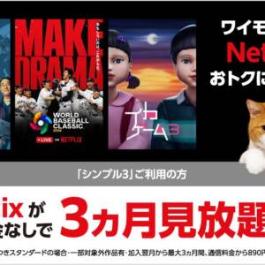 ワイモバイルが「Netflixセット」を提供開始！プランに応じてPayPayポイントが貰えるぞ！
