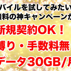 新規契約OK！縛りなし、手数料なし、ネトフリ付きでワイモバイルSIM単体30GBプランが3ヶ月無料！