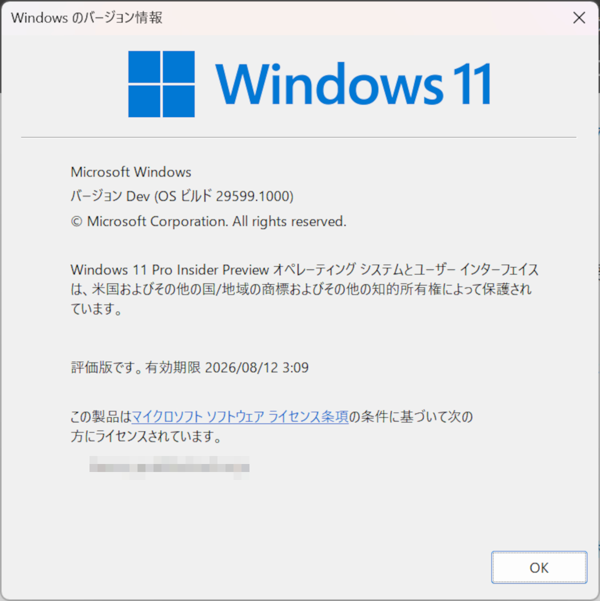 Windows 11 Insider Preview Experimental BUld 29599.1000のバージョン情報